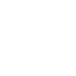Zebra LMS Logo
